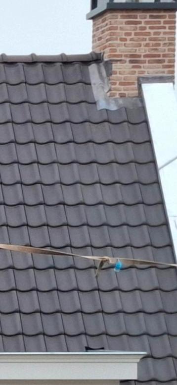 Dakpannen 1 pallet  beschikbaar voor biedingen