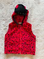 Carnaval verkleedkleren  lieveheersbeestje kind 2/3 jaar, Kinderen en Baby's, Carnavalskleding en Verkleedspullen, Ophalen of Verzenden