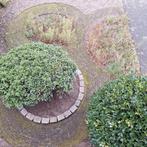 waaltjes afgebeeld op foto gratis ophalen.., Tuin en Terras, Tegels en Klinkers, Ophalen, Gebruikt, Beton, Klinkers