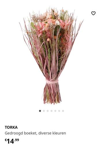 Droogbloemen/ dried flowers  beschikbaar voor biedingen