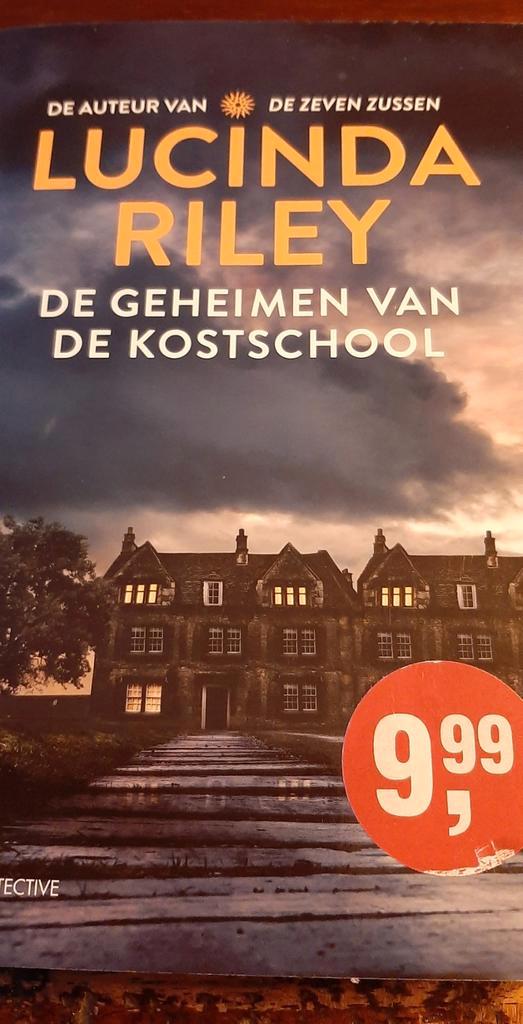 De geheimen van de kostschool - Lucinda Riley, Boeken, Detectives, Zo goed als nieuw, Ophalen of Verzenden