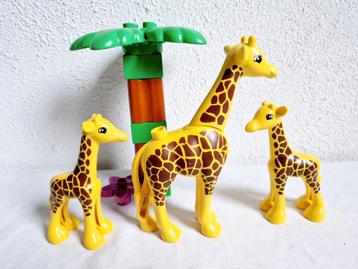 Duplo dierentuin safari dieren giraf beschikbaar voor biedingen