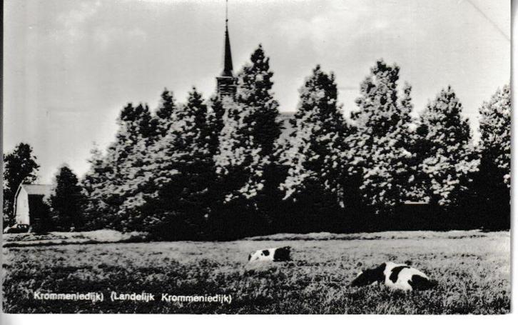 LANDELIJK KROMMENIEDIJK, Verzamelen, Ansichtkaarten | Nederland, Ongelopen, Noord-Holland, Ophalen of Verzenden