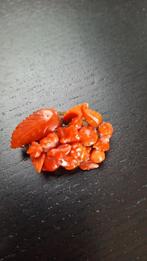Bloedkoraal broche, Ophalen of Verzenden, Overige materialen, Broche
