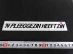 sticker 'n pleeggezin heeft zin Centrales voor pleegzorg, Ophalen, Zo goed als nieuw