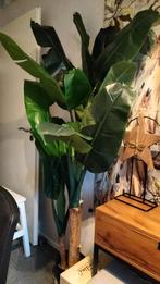 Grote zijden bananenplant - 190 cm - Overvecht, Ophalen