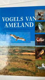 Vogels van Ameland, Ophalen of Verzenden, Zo goed als nieuw