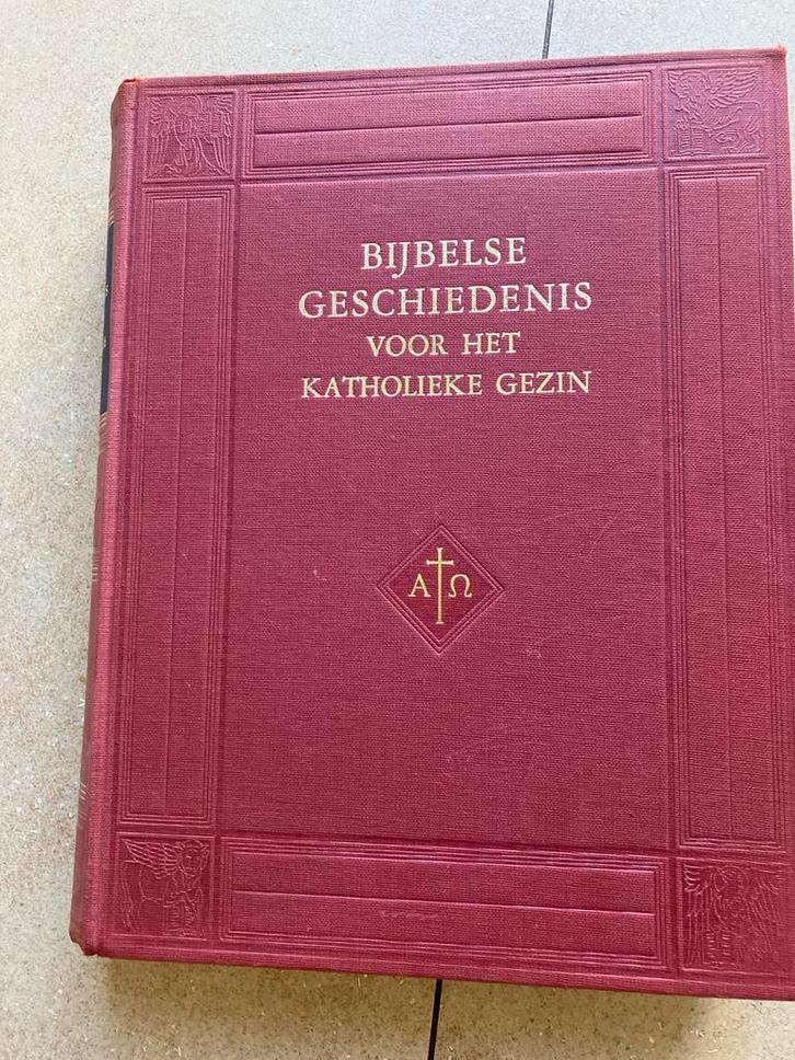 Bijbelse Geschiedenis voor het Katholieke Gezin, Boeken, Godsdienst en Theologie, Gelezen, Christendom | Katholiek, Ophalen of Verzenden