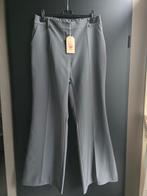 Nieuw biba pantalon xxxl grijs, Maat 46/48 (XL) of groter, Nieuw, Ophalen of Verzenden, Grijs