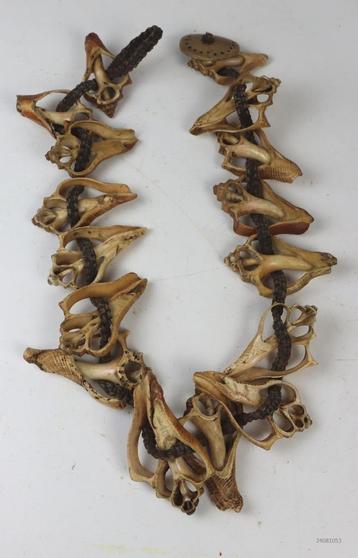 Ketting van versteende schelpen beschikbaar voor biedingen