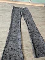 Donkergroene legging flair, Broek, Meisje, Coolcat, Ophalen of Verzenden