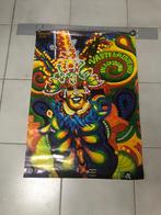 7 carnavalsposters/ vasteloavensposters, Verzamelen, Ophalen, A1 t/m A3, Overige onderwerpen