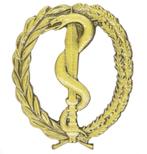 Combatant GNK CNG vaardigheidsembleem commerciële aanmaak, Verzamelen, Militaria | Algemeen, Verzenden, Landmacht, Nederland
