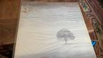 Genesis. Wind & Wuthering, Ophalen of Verzenden, Zo goed als nieuw, Progressive