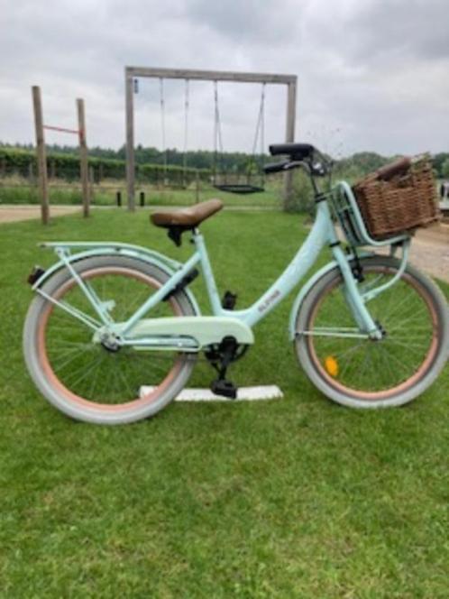 Mooie lichtblauwe Alpina meisjesfiets, Fietsen en Brommers, Fietsen | Meisjes, Gebruikt, 22 inch, Handrem, Ophalen