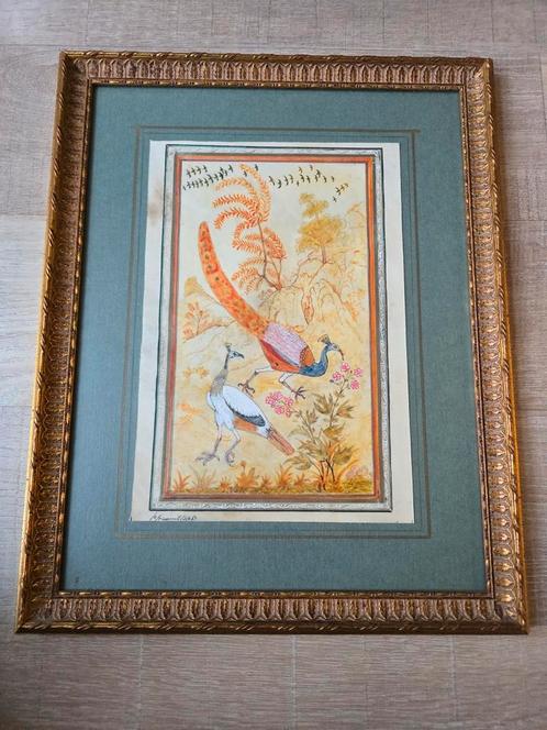 Vintage F.C. Friederich peacock tekening/schilderij in lijst, Antiek en Kunst, Kunst | Schilderijen | Klassiek, Ophalen of Verzenden