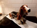 Favaro Cecchetto bassethound beeld basset hound, Ophalen of Verzenden