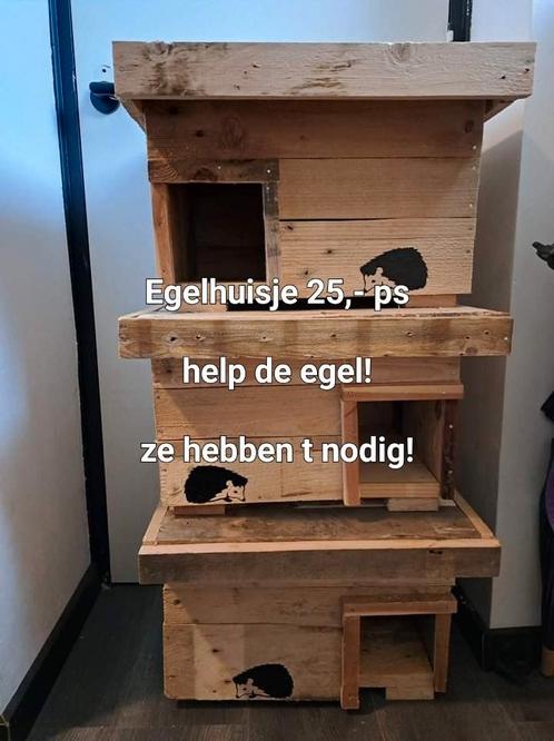 Help de egel aan een egelhuis! Bijna gratis., Dieren en Toebehoren, Knaagdieren en Konijnen | Hokken en Kooien, Nieuw, Hok, Minder dan 60 cm