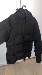 In gold we trust jas, Kleding | Dames, Maat 38/40 (M), In gold we trust, Verzenden, Zwart