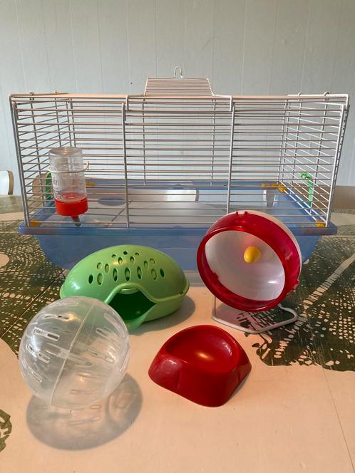 Hamsterkooi voor dwerghamster inclusief accessoires, Dieren en Toebehoren, Knaagdieren en Konijnen | Hokken en Kooien, Gebruikt
