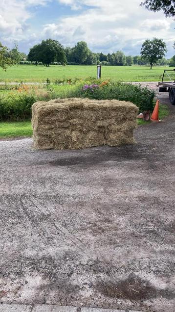 Paardenhooi/ Hooi laag in suikers beschikbaar voor biedingen