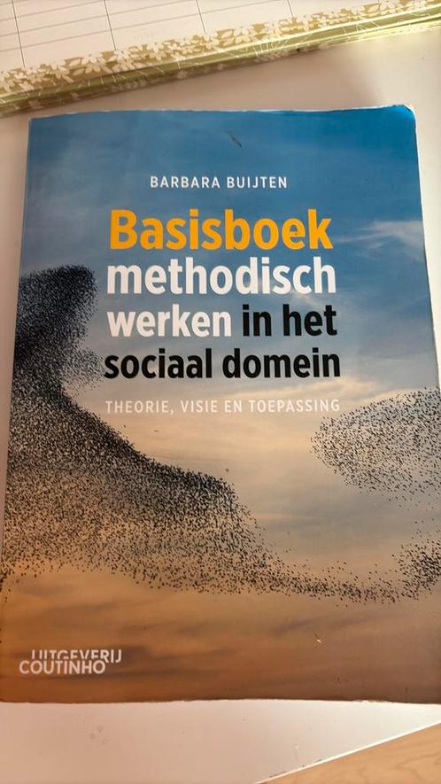 Basisboek methodisch werken in het sociaal domein, Boeken, Wetenschap, Zo goed als nieuw, Sociale wetenschap, Verzenden