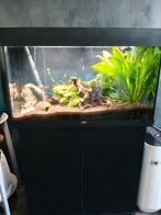 Juwel Rio 125 zwart + superfish Xpro 1500, Dieren en Toebehoren, Vissen | Aquaria en Toebehoren, Ophalen, Zo goed als nieuw, Leeg aquarium