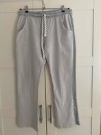 Grijze Broek met Streep merk 10DAYS maat L, Kleding | Dames, Maat 42/44 (L), 10days, Ophalen of Verzenden, Gedragen