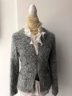Als Nieuw Caroline Biss vest jasje grijs 40 42 l xl, Kleding | Dames, Maat 38/40 (M), Verzenden, Zo goed als nieuw, Jasje
