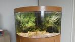 Juwel hoek aquarium trigion 190l, Dieren en Toebehoren, Ophalen, Gebruikt, Leeg aquarium