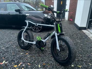 Ruff cycles lil buddy nieuw staat beschikbaar voor biedingen