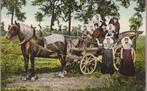 Zeeland Klederdracht Paard met Rijtuig/Oogstwagen AK. 1909, Ophalen of Verzenden, Voor 1920, Gelopen, Zeeland