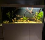 Aquatlantis 450 l aquarium (150x50x60 cm) incl. onderkast, Dieren en Toebehoren, Vissen | Aquaria en Toebehoren, Gebruikt, Ophalen