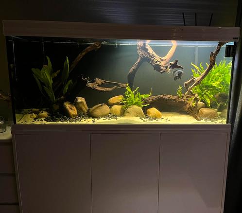 Aquatlantis 450 l aquarium (150x50x60 cm) incl. onderkast, Dieren en Toebehoren, Vissen | Aquaria en Toebehoren, Gebruikt, Leeg aquarium