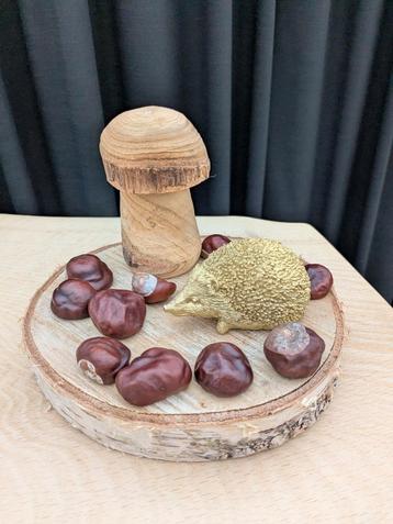 Leuke Herfst decoratie set! Egel paddestoel boomstam plateau beschikbaar voor biedingen