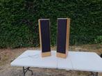 mega set  zware  boxen palladium, Audio, Tv en Foto, Luidsprekers, Gebruikt, 120 watt of meer, Front, Rear of Stereo speakers