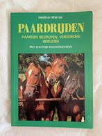 Paardrijden; paarden begrijpen, verzorgen en berijden, Ophalen of Verzenden, Zo goed als nieuw, Heidrun Werner, Paarden of Pony's