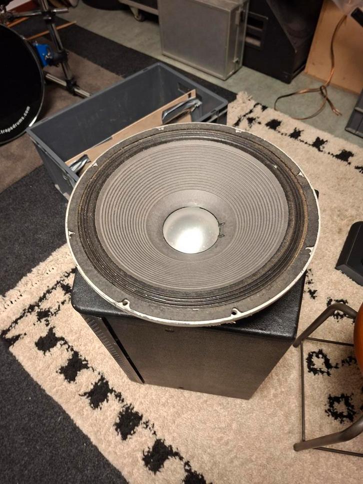 Twee Peavey Black Widow Speakers, Audio, Tv en Foto, Luidsprekers, Gebruikt, Overige typen, 120 watt of meer, Overige merken, Ophalen of Verzenden