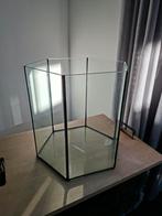 Vissenkom, Dieren en Toebehoren, Vissen | Aquaria en Toebehoren, Ophalen