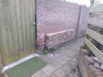 Gratis- bestrating, Tuin en Terras, Tegels en Klinkers, Ophalen, Gebruikt, Klinkers, 10 m² of meer