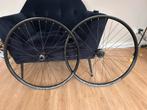 Nieuwe 29 inch Supra Elite wielset voor mountainbike, Fietsen en Brommers, Fietsonderdelen, Ophalen of Verzenden, Nieuw, Mountainbike
