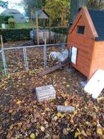 Haan gratis, Ophalen of Verzenden, Zo goed als nieuw