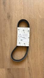 V-snaar Vespa Piaggio kort carter ->, Overige merken, Minder dan 50 mm, Overige typen, Ophalen of Verzenden
