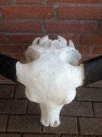 Buffelschedel gebleekt met complete schedel, top kwaliteit!!, Ophalen of Verzenden
