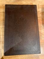 Statenvertaling, Ophalen of Verzenden, Gelezen, Christendom | Protestants