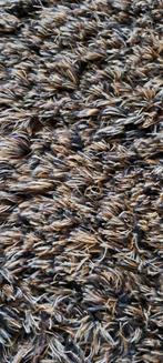 Carpet Sign Sauvage, 200 cm of meer, Ophalen of Verzenden, Zo goed als nieuw, 200 cm of meer