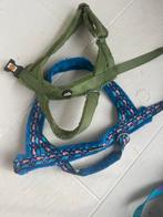 Premium Anti Trek Tuig Riem Molly Threads - 2 pack, Dieren en Toebehoren, Ophalen of Verzenden, Zo goed als nieuw