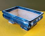 Blauw Rechthoekige Bonsai Pot / Schaal, Zo goed als nieuw, Aardewerk, Rechthoekig, Tuin