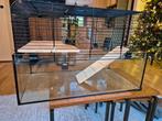 Glazen hamsterkooi, Dieren en Toebehoren, Ophalen, Minder dan 75 cm, Kooi, Minder dan 60 cm