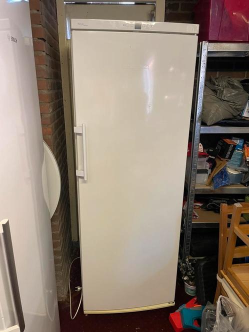 Vriezer Liebherr GNP 3376, Witgoed en Apparatuur, Koelkasten en IJskasten, Gebruikt, 200 liter of meer, 160 cm of meer, 45 tot 60 cm